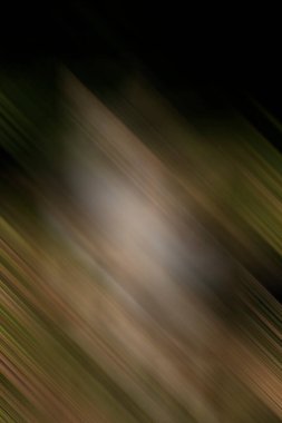 Soyut modern duvar kağıdı, kopyalama alanı olan yaratıcı arkaplan 