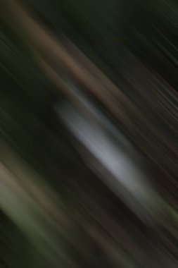 Soyut modern duvar kağıdı, kopyalama alanı olan yaratıcı arkaplan  