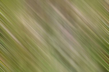 Soyut modern duvar kağıdı, kopyalama alanı olan yaratıcı arkaplan  