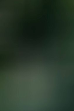 Soyut modern duvar kağıdı, kopyalama alanı olan yaratıcı arkaplan 