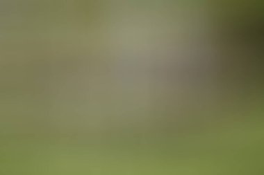 Soyut modern duvar kağıdı, kopyalama alanı olan yaratıcı arkaplan 