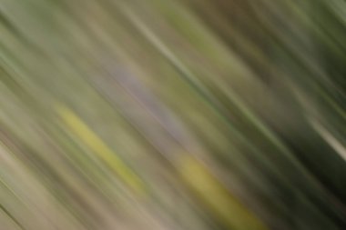 Soyut modern duvar kağıdı, kopyalama alanı olan yaratıcı arkaplan 