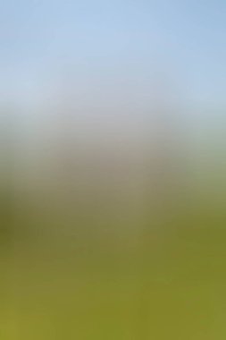 Soyut modern duvar kağıdı, kopyalama alanı olan yaratıcı arkaplan 