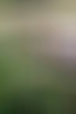 Soyut modern duvar kağıdı, kopyalama alanı olan yaratıcı arkaplan 