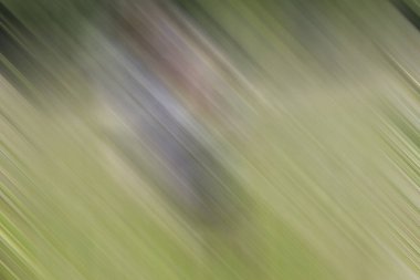 Soyut modern duvar kağıdı, kopyalama alanı olan yaratıcı arkaplan 