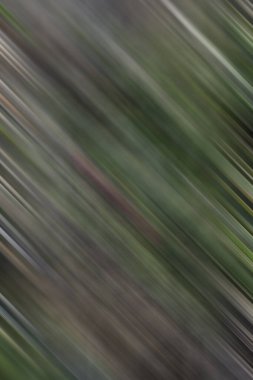 Soyut modern duvar kağıdı, kopyalama alanı olan yaratıcı arkaplan 