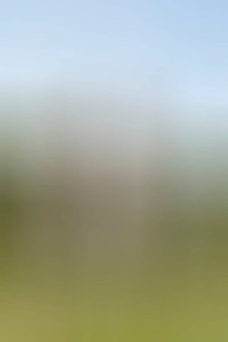 Soyut modern duvar kağıdı, kopyalama alanı olan yaratıcı arkaplan  