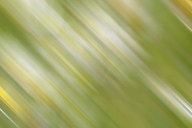 Soyut modern duvar kağıdı, kopyalama alanı olan yaratıcı arkaplan 