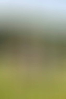 Soyut modern duvar kağıdı, kopyalama alanı olan yaratıcı arkaplan  