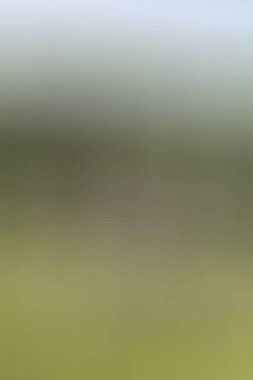 Soyut modern duvar kağıdı, kopyalama alanı olan yaratıcı arkaplan  