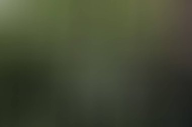 Soyut modern duvar kağıdı, kopyalama alanı olan yaratıcı arkaplan  