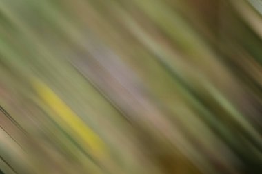 Soyut modern duvar kağıdı, kopyalama alanı olan yaratıcı arkaplan 