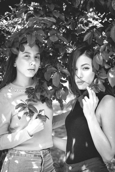 Черно Белый Снимок Двух Молодых Женщин Дерева — стоковое фото