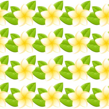Plumeria seamless modeli