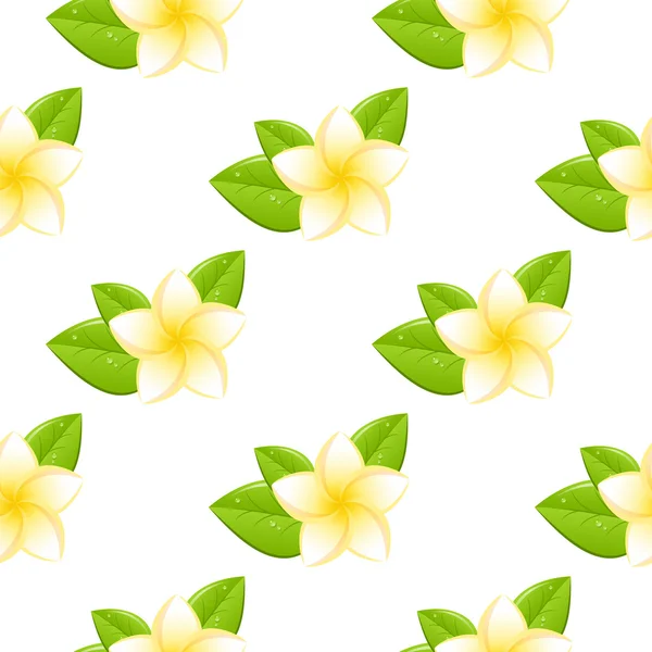 Modèle sans couture Plumeria — Image vectorielle