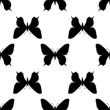 siyah kelebek sorunsuz