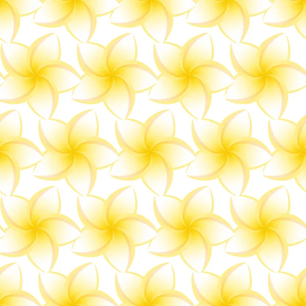 Plumeria sans soudure isolé — Image vectorielle