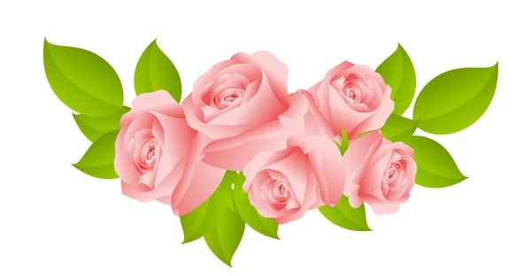 Roses roses douces — Image vectorielle