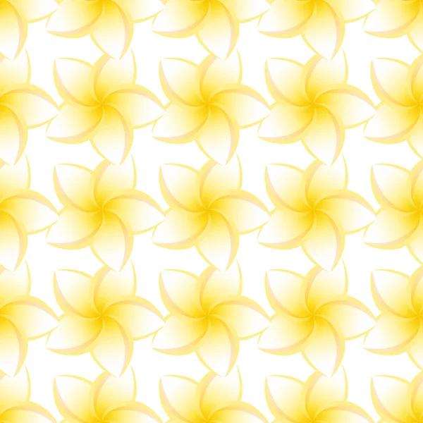 Plumeria sans soudure isolé — Image vectorielle