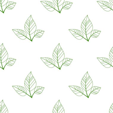 Yeşil sorunsuz yaprakları