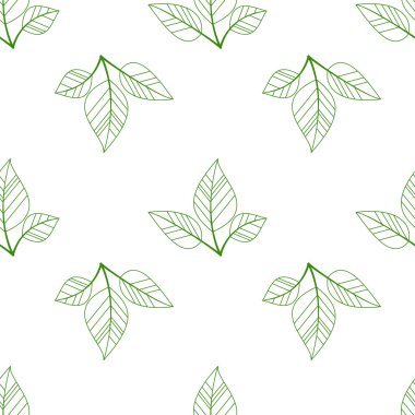 Yeşil sorunsuz yaprakları