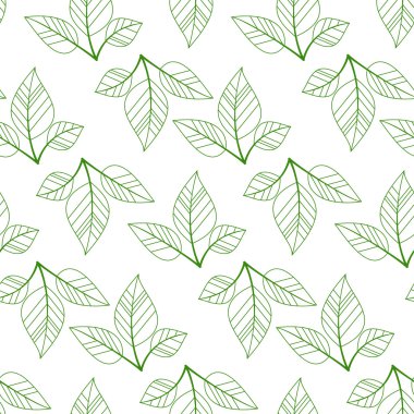 Yeşil sorunsuz yaprakları