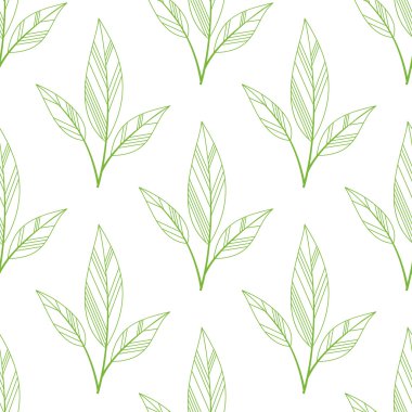 Yeşil sorunsuz yaprakları