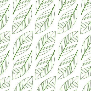 Yeşil sorunsuz yaprakları