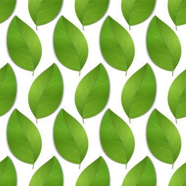 Yeşil sorunsuz yaprakları