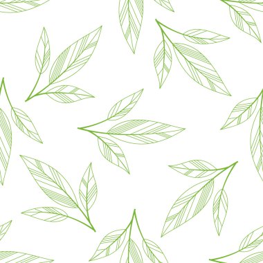 Yeşil sorunsuz yaprakları