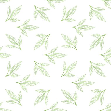 Yeşil sorunsuz yaprakları