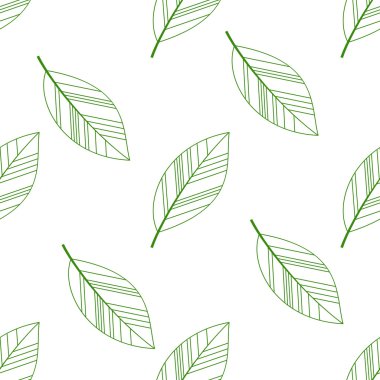 Yeşil sorunsuz yaprakları