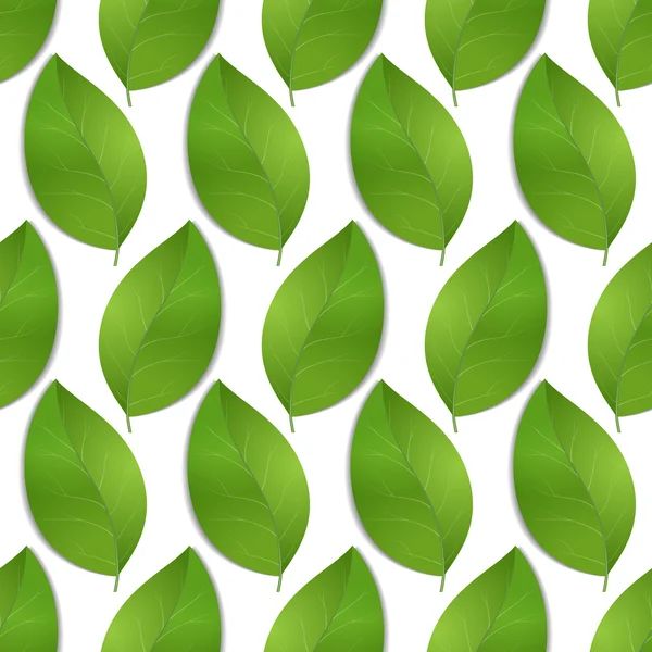 Groene naadloze bladeren — Stockvector