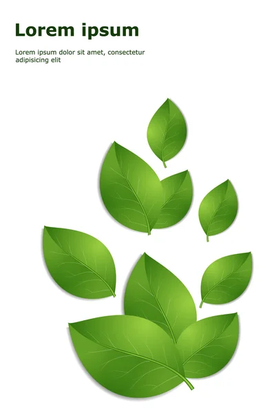 緑の葉のテンプレート — ストックベクタ