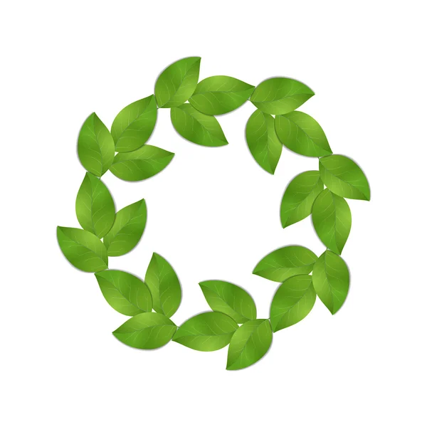 Зеленим листям, ізольовані — стоковий вектор