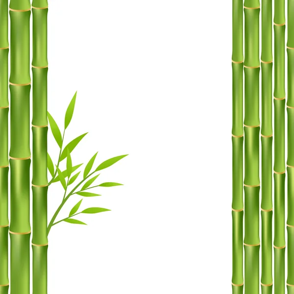 Bamboo frame isolated — Stock Vector