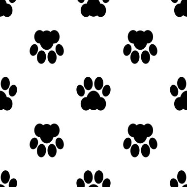 kedi pençe sorunsuz