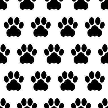 kedi pençe sorunsuz