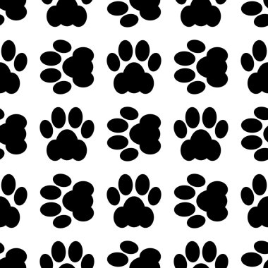 kedi pençe sorunsuz