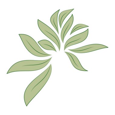 yeşil yapraklar beyaz üzerinde izole