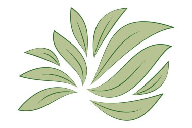 yeşil yapraklar beyaz üzerinde izole