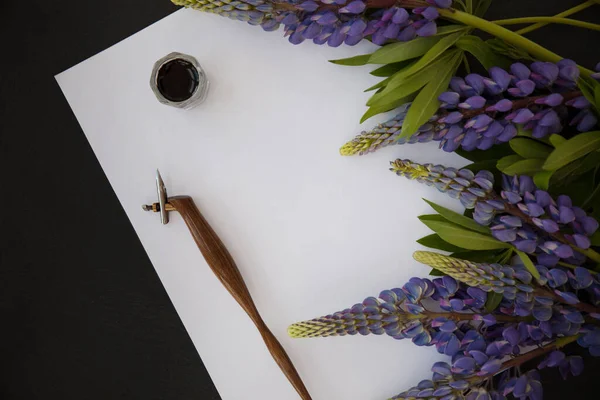 Letter and pen — Stock Photo, Image