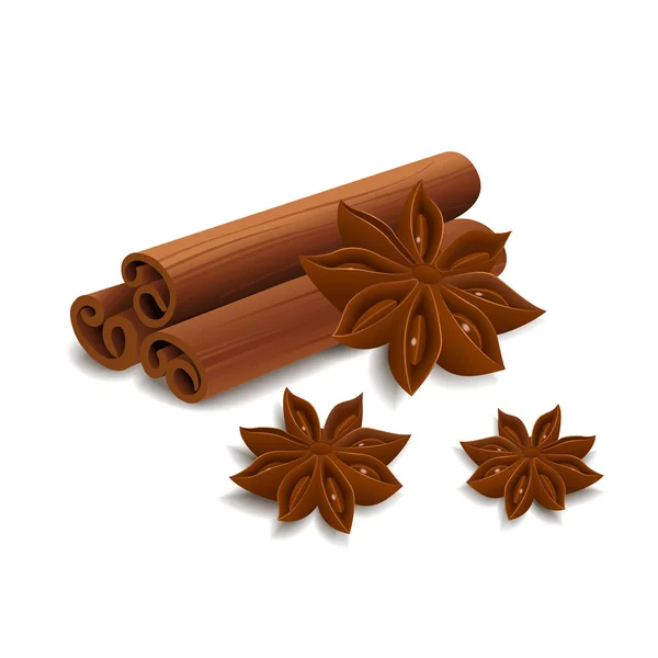 Cinnamon and star anise — Stock Vector