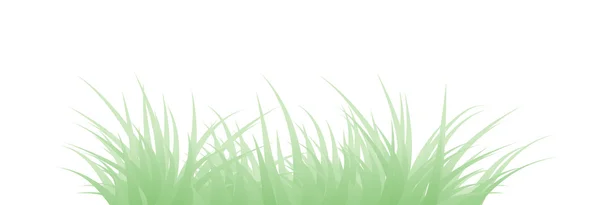 Green grass — Stock Vector