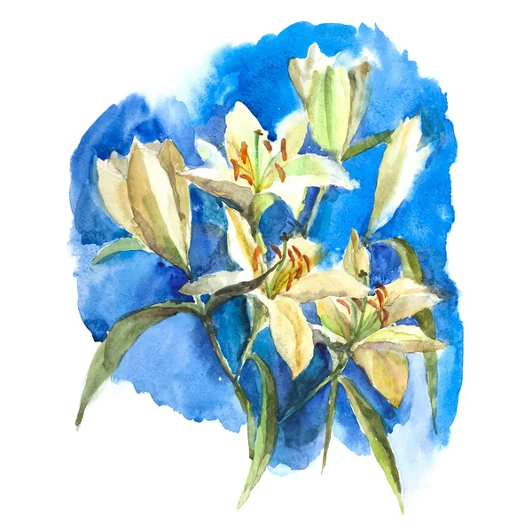 Weiße Lilien — Stockvektor
