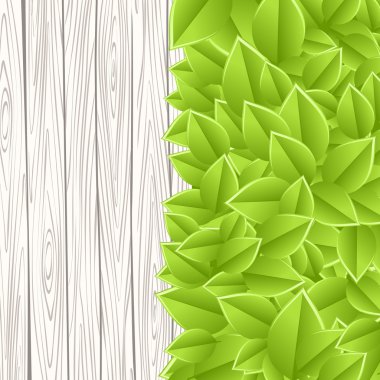 yaprakları ile duvar