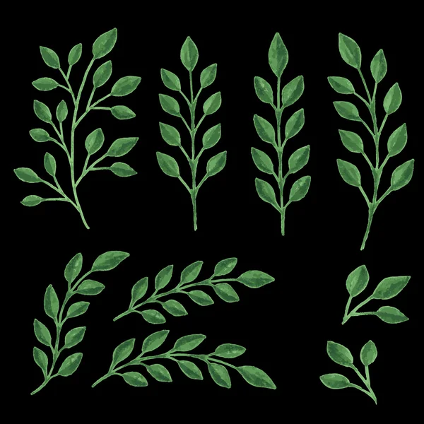 Зеленые ветви — стоковый вектор