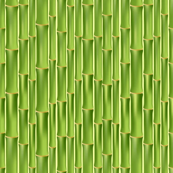 Textura sin costura de bambú verde — Vector de stock