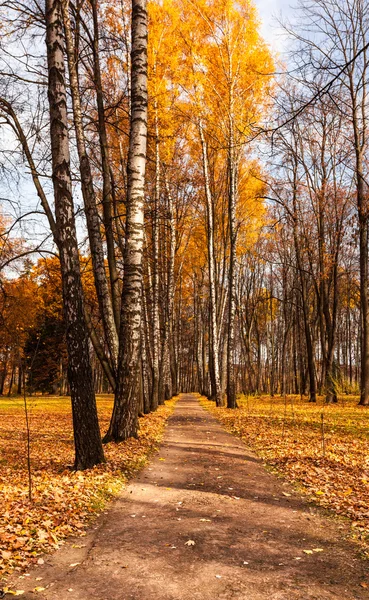 Осенний парк — стоковое фото