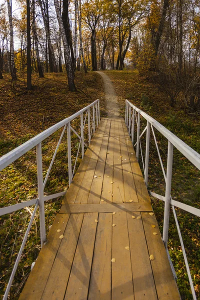 Holzbrücke im Park — Stockfoto